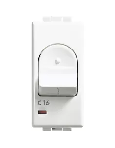 Moon - magnetot.1p+n 16a 3ka